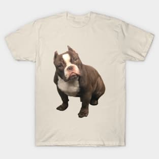 Bully T-Shirt